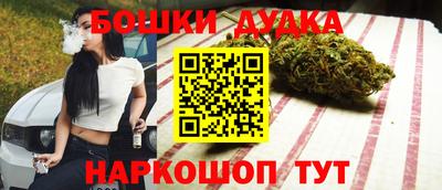 индика Краснознаменск
