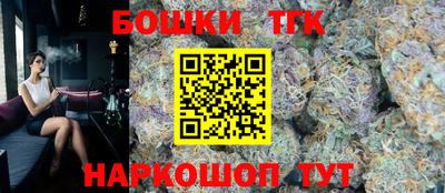 индика Краснознаменск